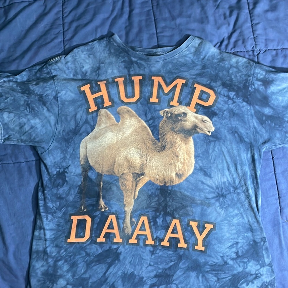 3DTEES by The Mountain - Light/dark blue tie-died - camel pic “HUMP DAAAY” - 2XL